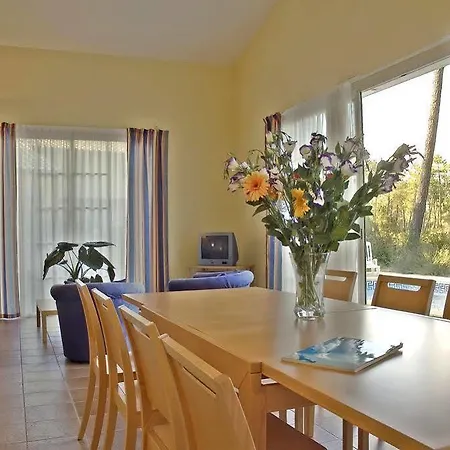 Holiday park Odalys Les Greens Du Bassin Gujan-Mestras